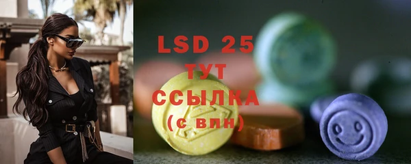 PSILOCYBIN Корсаков