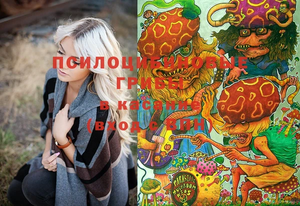 твердый Коряжма