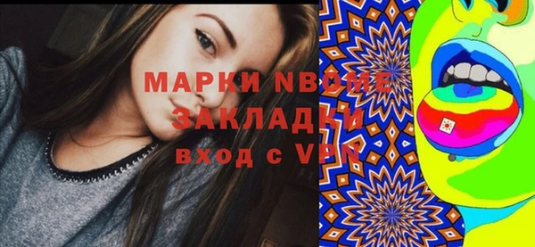 твердый Коряжма