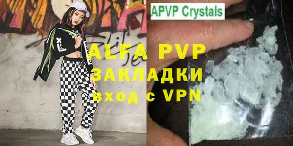 PSILOCYBIN Корсаков