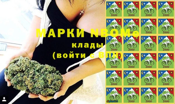 PSILOCYBIN Корсаков