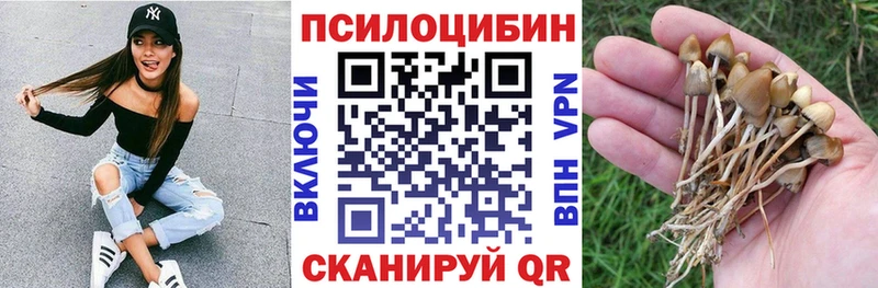 Галлюциногенные грибы Magic Shrooms  Купить  Армянск 